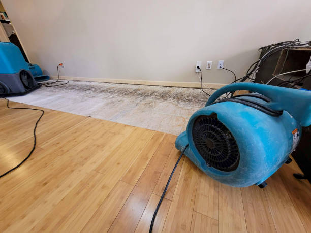 Professional Ceiling Water Damage Repair technician working in Tuscaloosa, AL